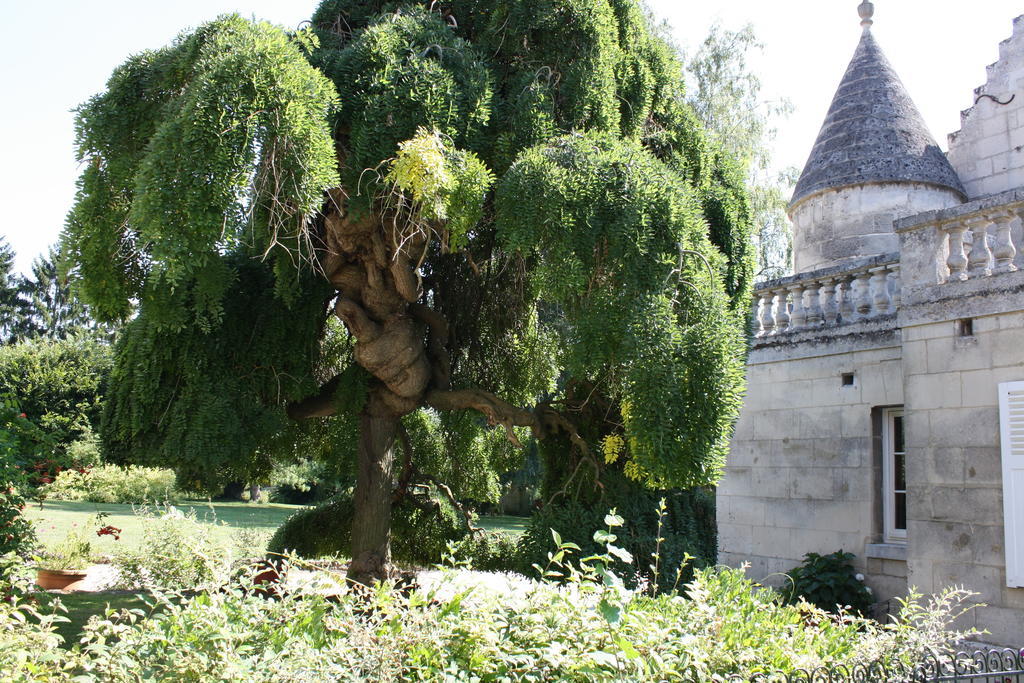 La Barbotine Bed & Breakfast Septmonts ภายนอก รูปภาพ
