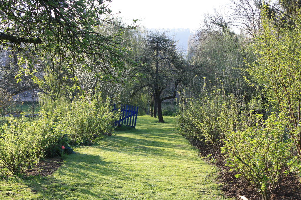 La Barbotine Bed & Breakfast Septmonts ภายนอก รูปภาพ